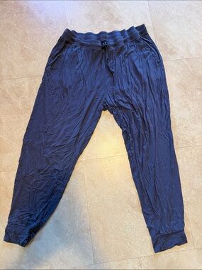 Kindred Bravely Navy Women's Jogger Pants